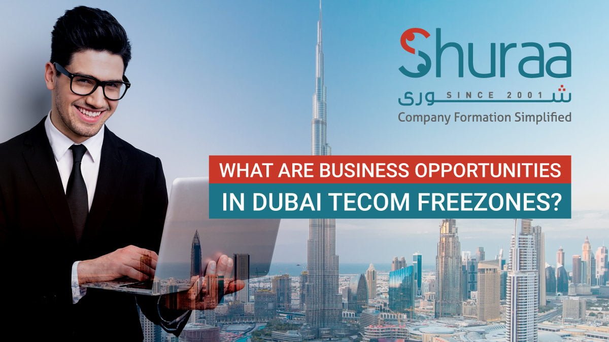 What are business opportunities in Dubai TECOM Freezones