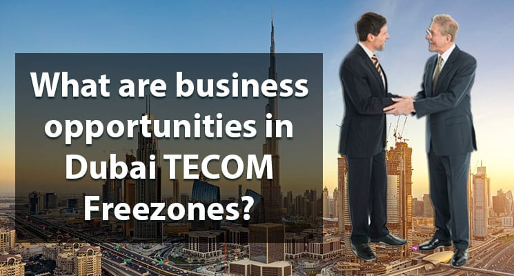 What are business opportunities in Dubai TECOM Freezones?