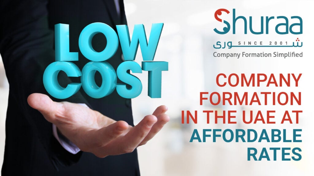 form a company at low cost business package