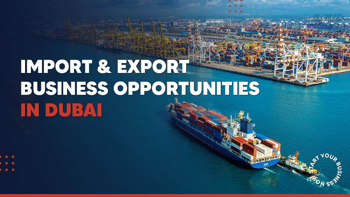 Import business opportunities in Dubai