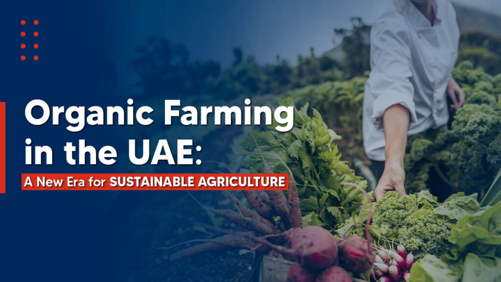 Organic farming in the UAE