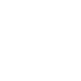 Business setup in uae free zones 31